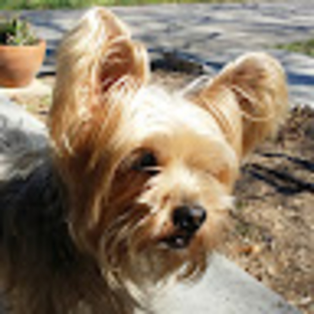 Meet your Posher, Heather